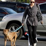 Jessica Biel Brings Her Dog To The Brentwood Pet Clinic